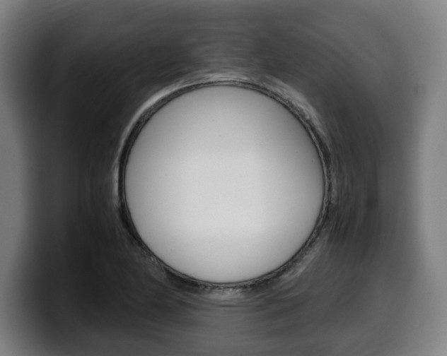X0000099491174200805150921