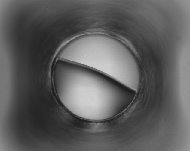 X0000099491176200805150921
