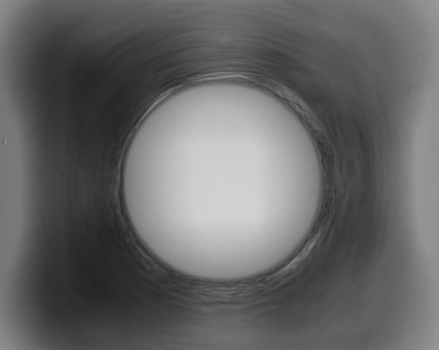 X0000099491177200805150921