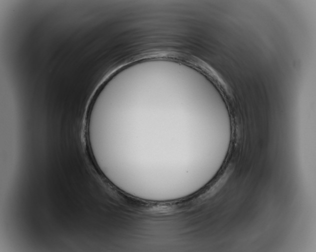 X0000099491178200805150921