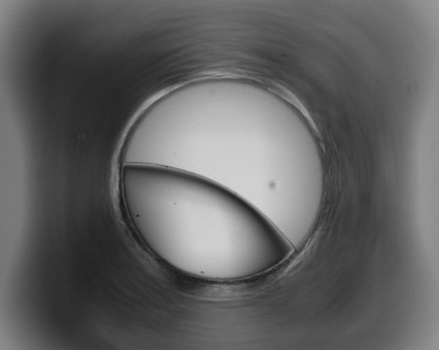 X0000099491179200805150921