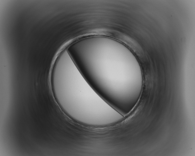 X0000099491180200805150921