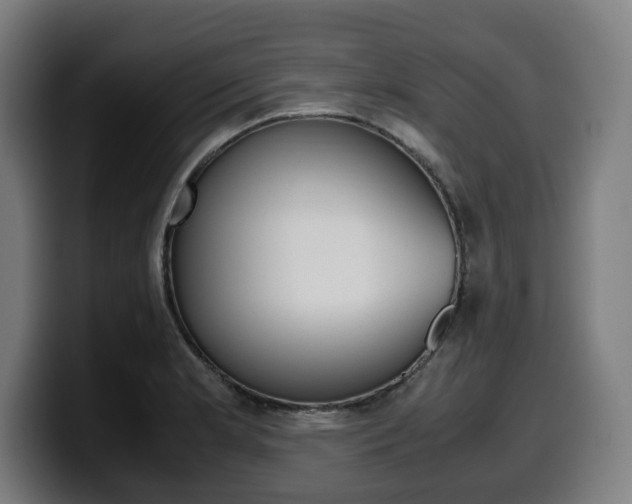 X0000099491181200805150921
