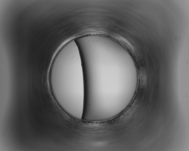 X0000099491182200805150921