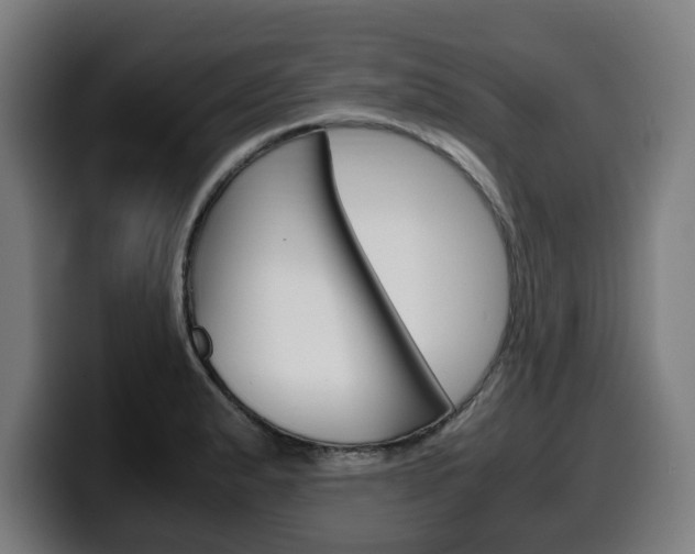 X0000099491183200805150921