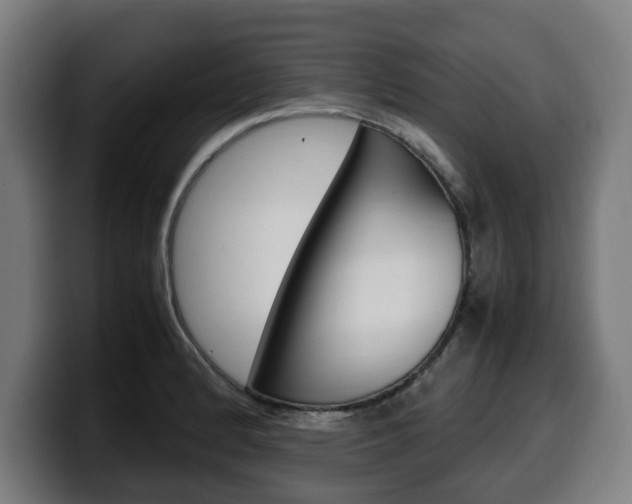 X0000099491184200805150921