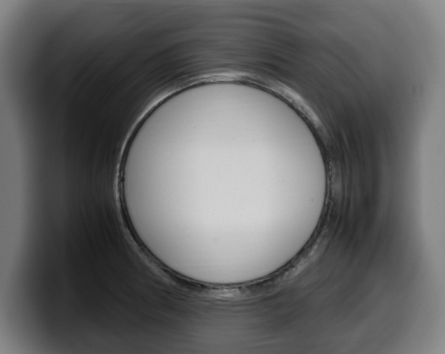 X0000099491186200805150921