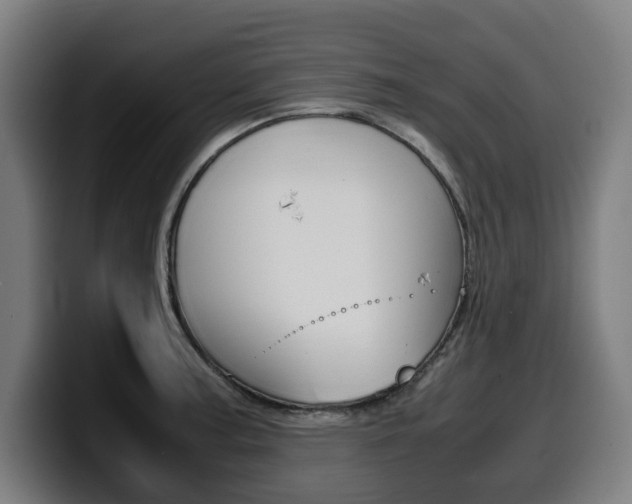 X0000099491187200805150921