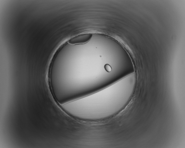 X0000099491189200805150921