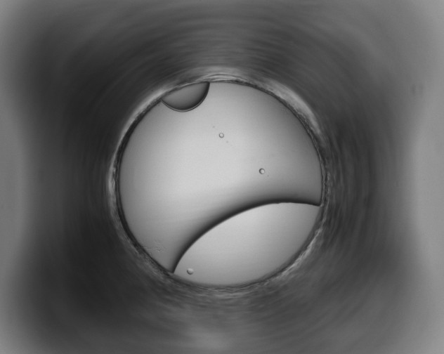 X0000099491190200805150921