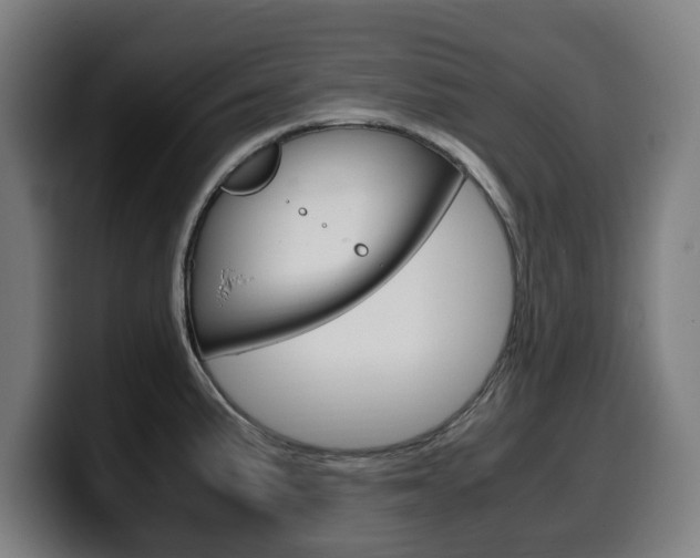 X0000099491191200805150921