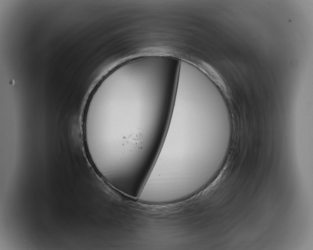 X0000099491192200805150921