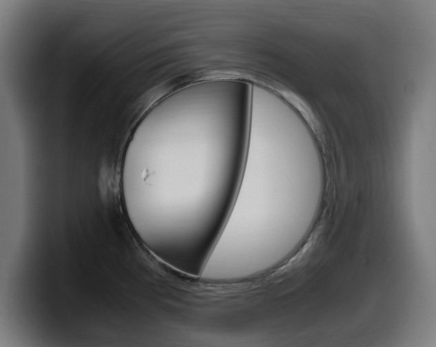 X0000099491193200805150921