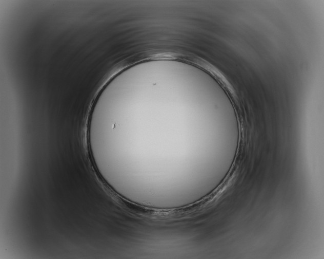 X0000099491194200805150921