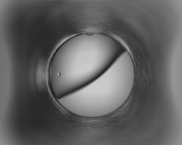 X0000099491195200805150921