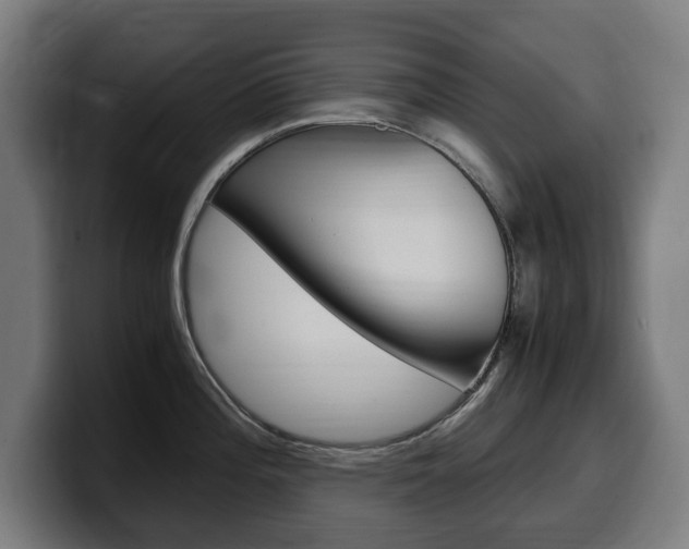 X0000099491196200805150921