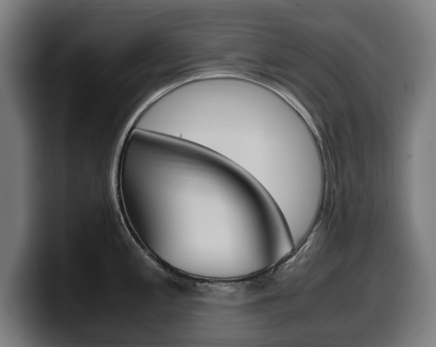 X0000099491197200805150921