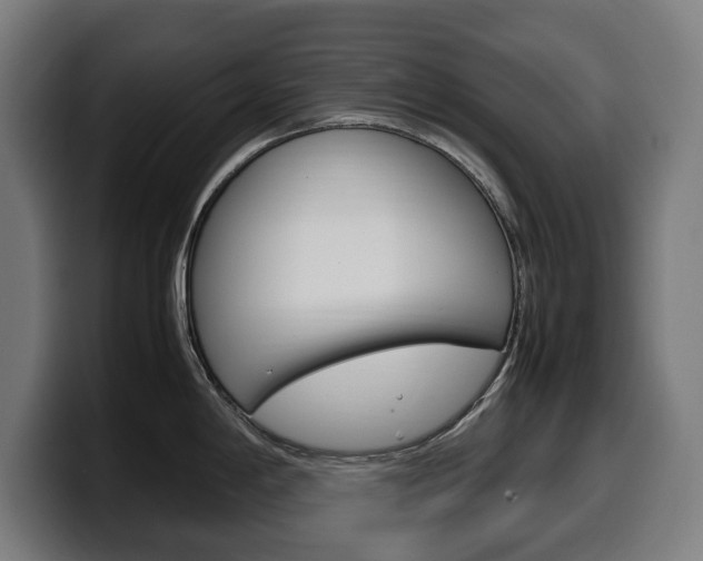 X0000099491198200805150921