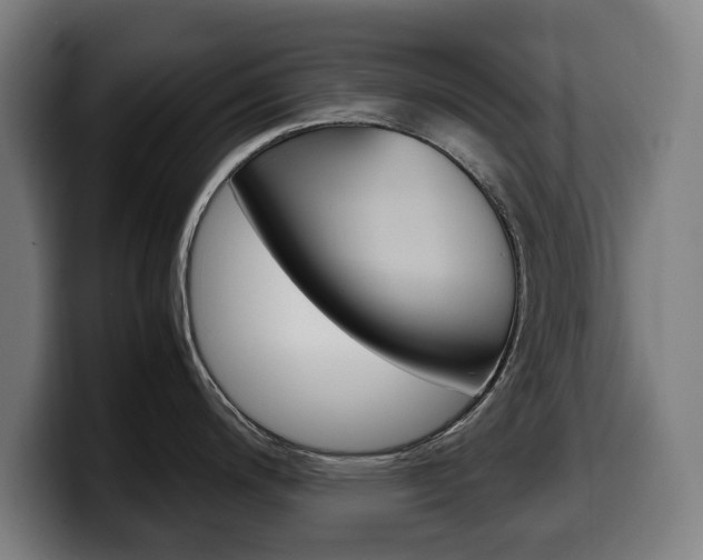 X0000099491200200805150921
