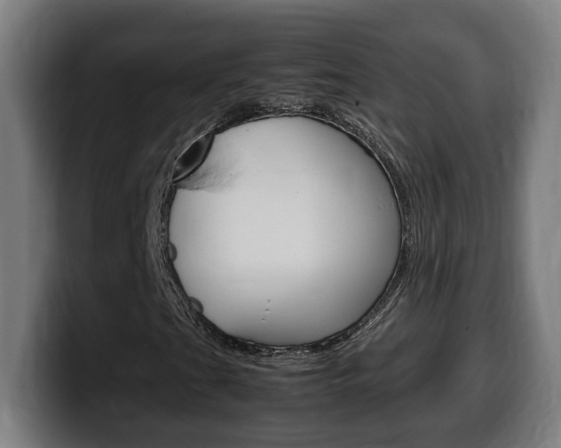X0000099491201200805150920