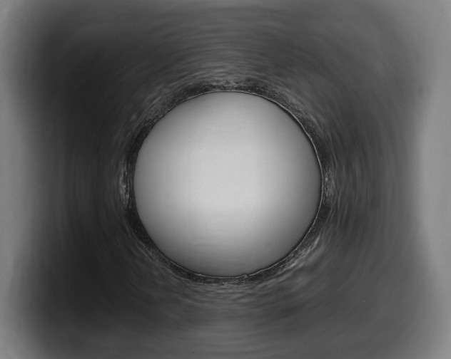 X0000099491202200805150920