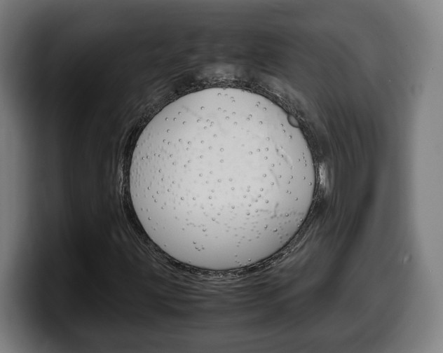 X0000099491203200805150920