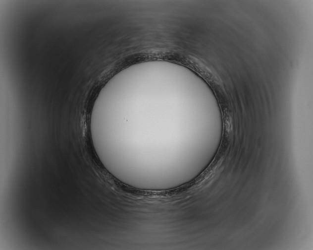 X0000099491204200805150920
