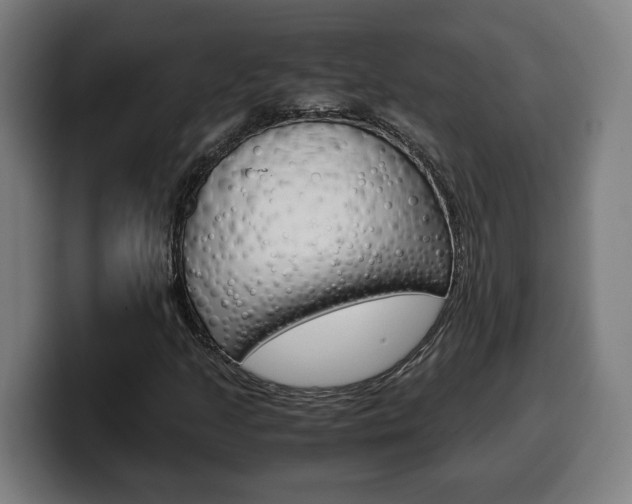X0000099491205200805150921