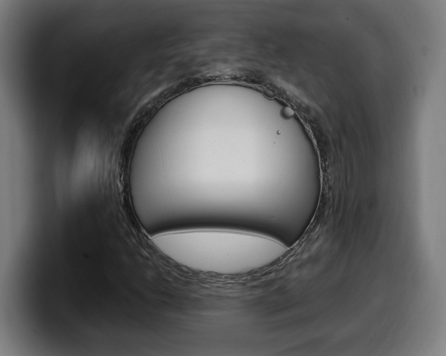 X0000099491206200805150921