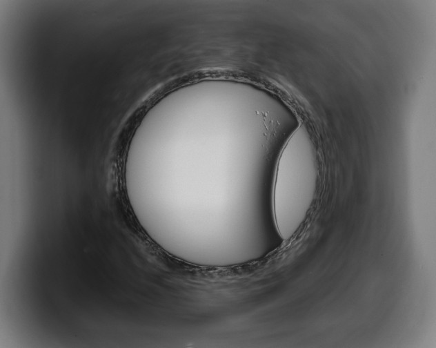 X0000099491208200805150921