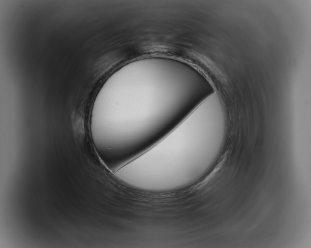 X0000099491209200805150921