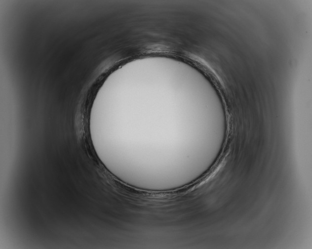 X0000099491211200805150921