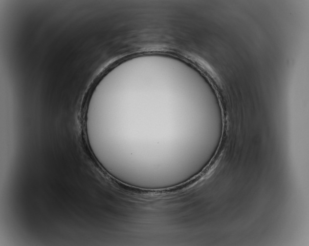 X0000099491212200805150921