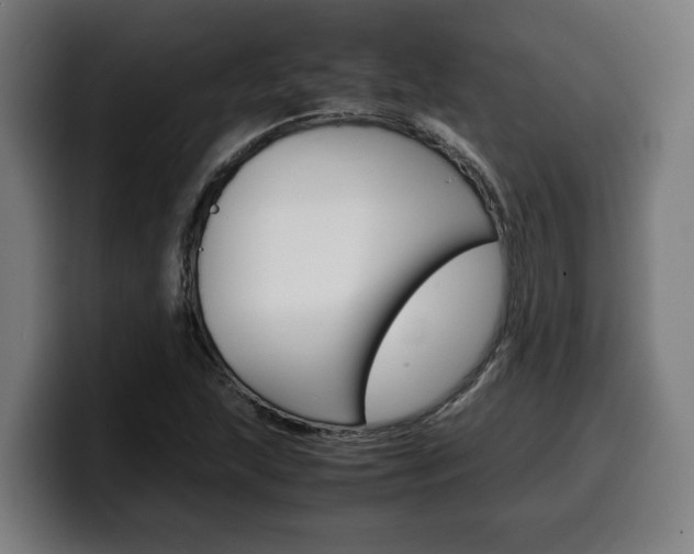 X0000099491215200805150921