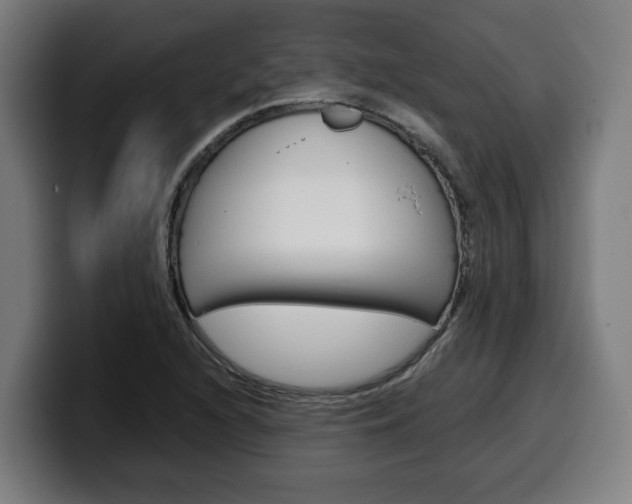 X0000099491216200805150921