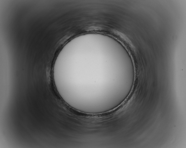 X0000099491217200805150921