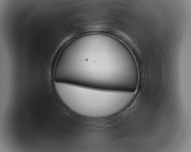 X0000099491218200805150921