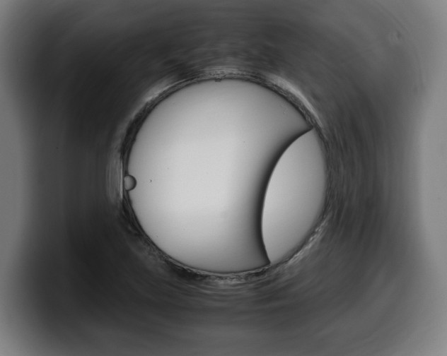 X0000099491219200805150921