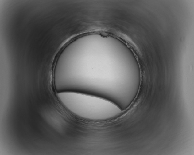 X0000099491220200805150921