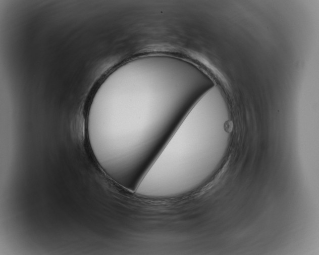 X0000099491221200805150921