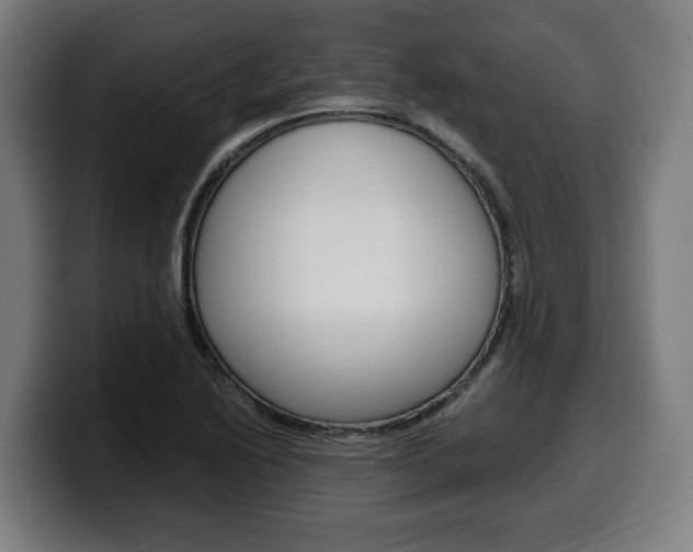 X0000099491222200805150921