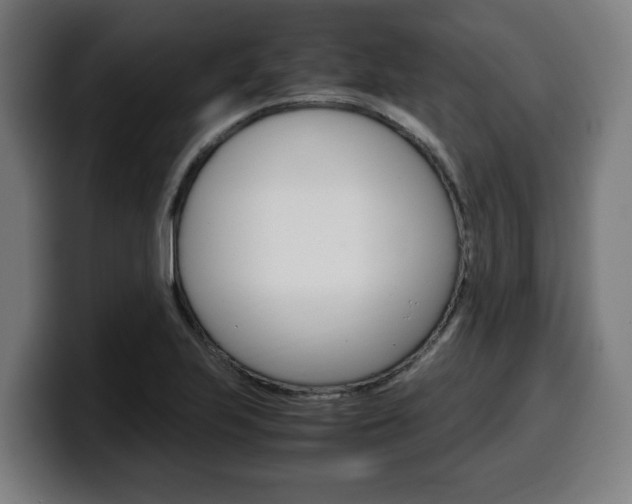 X0000099491223200805150921