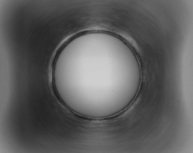 X0000099491224200805150921