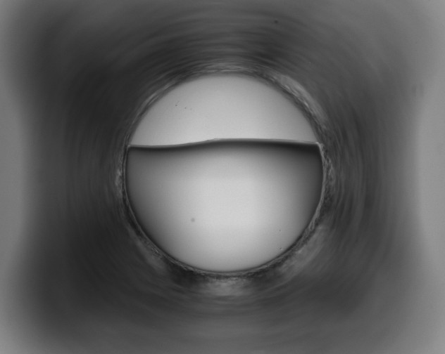 X0000099491225200805150921