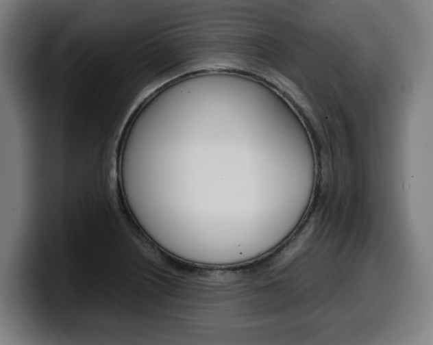 X0000099491226200805150921