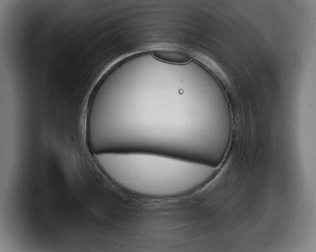 X0000099491228200805150921