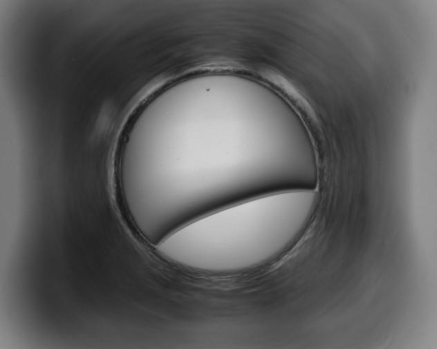 X0000099491229200805150921