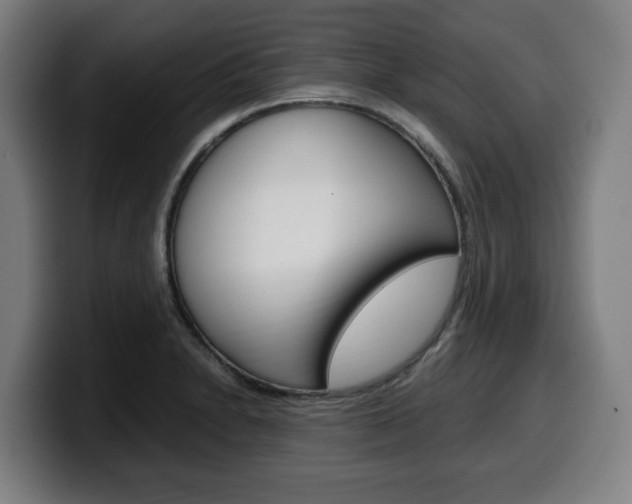 X0000099491230200805150921