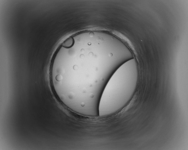 X0000099491231200805150921