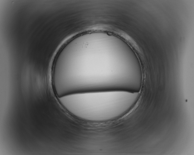 X0000099491232200805150921